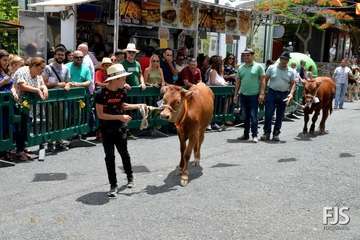 Telde, en la procesión capitalina de San Lorenzo
(Foto Francisco Javier Santana)